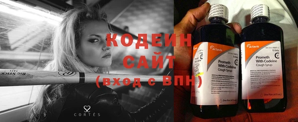 ГАЛЛЮЦИНОГЕННЫЕ ГРИБЫ Новодвинск