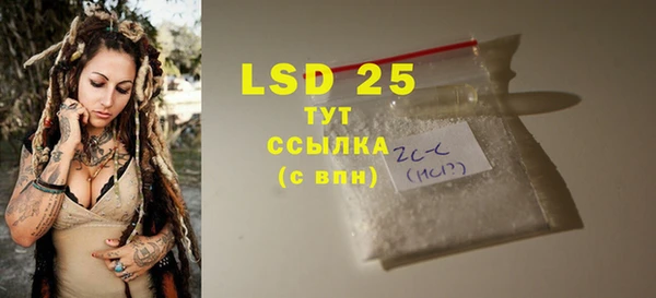 ГАЛЛЮЦИНОГЕННЫЕ ГРИБЫ Новодвинск