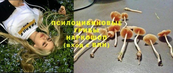 ГАЛЛЮЦИНОГЕННЫЕ ГРИБЫ Новодвинск