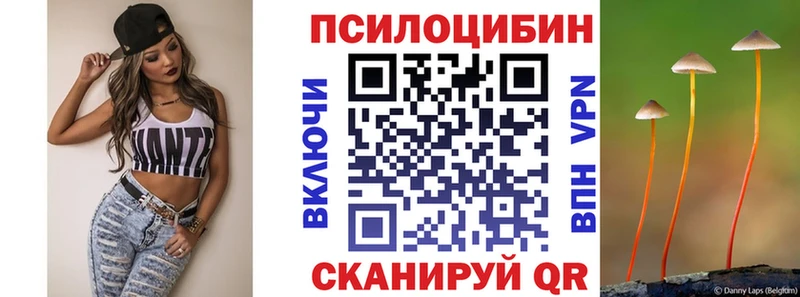 купить закладку  mega ССЫЛКА  Галлюциногенные грибы мицелий  Анжеро-Судженск 