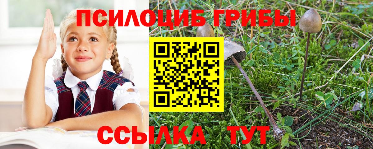 Псилоцибиновые грибы мухоморы  Псилоцибиновые грибы Cubensis  Анжеро-Судженск 