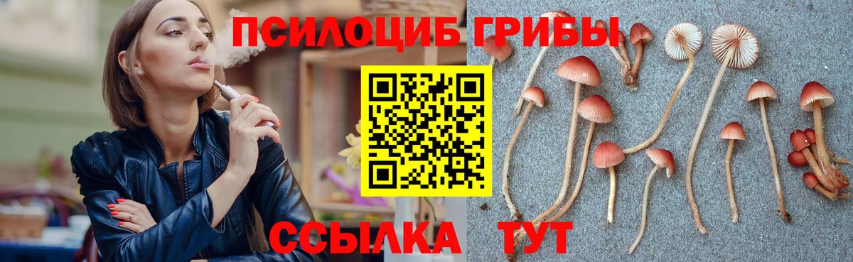 Анжеро-Судженск  как найти закладки  Вход с VPN  Галлюциногенные грибы Cubensis 