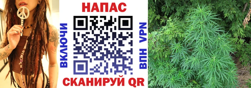 МЕГА   Анжеро-Судженск  Шишки марихуана MAZAR 