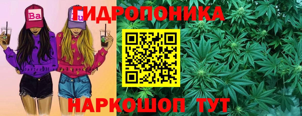 Бошки Шишки SATIVA & INDICA Анжеро-Судженск